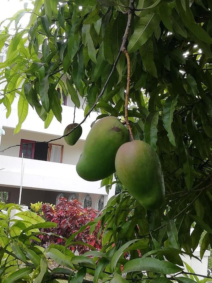 Villa Upton Heights Ocho Rios Exterior foto